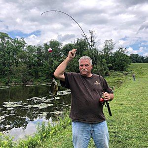 Meet your Posher, Edwin